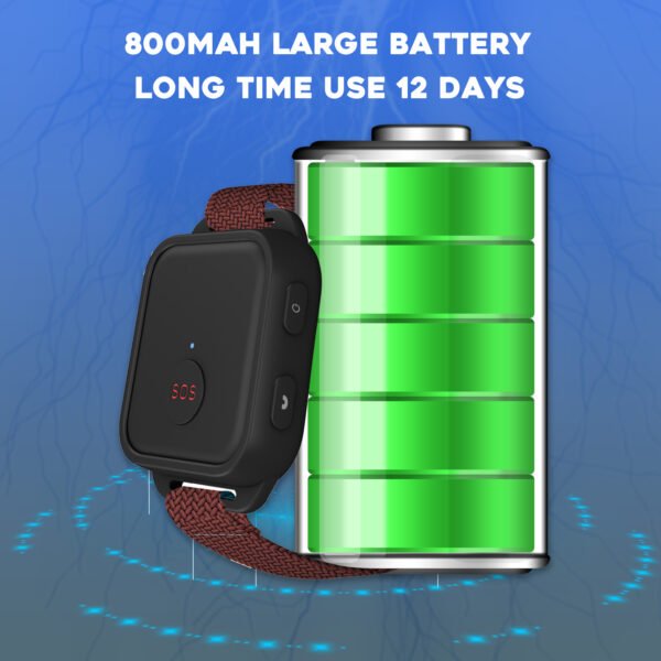 m2000